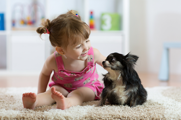 Pets & Baby shops